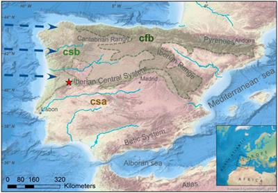 Leaf wax biomarkers of a high-mountain lake area in western iberia—Implications for environmental reconstructions